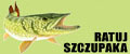 Ratuj Szczupaka